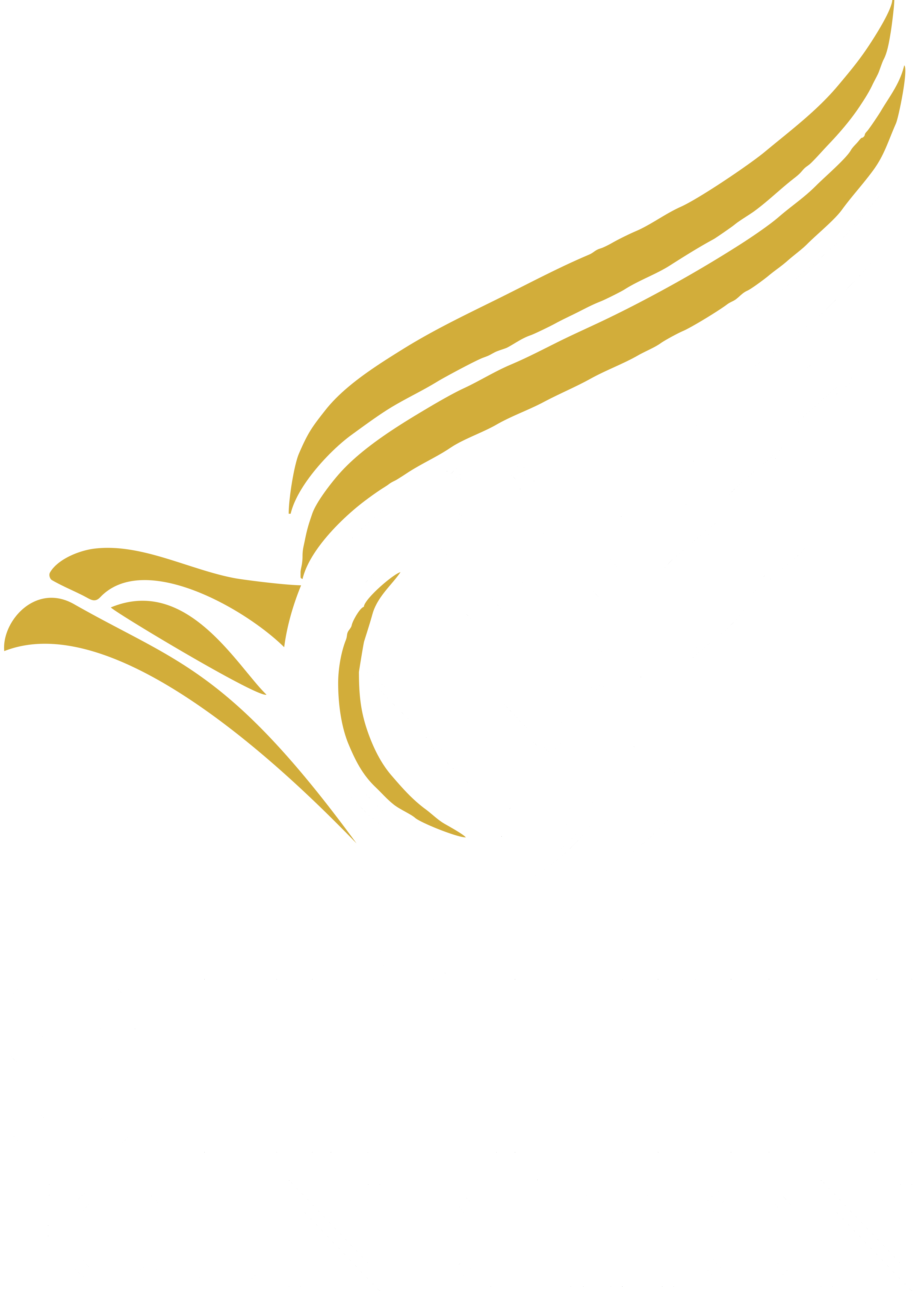 shahin.foundation