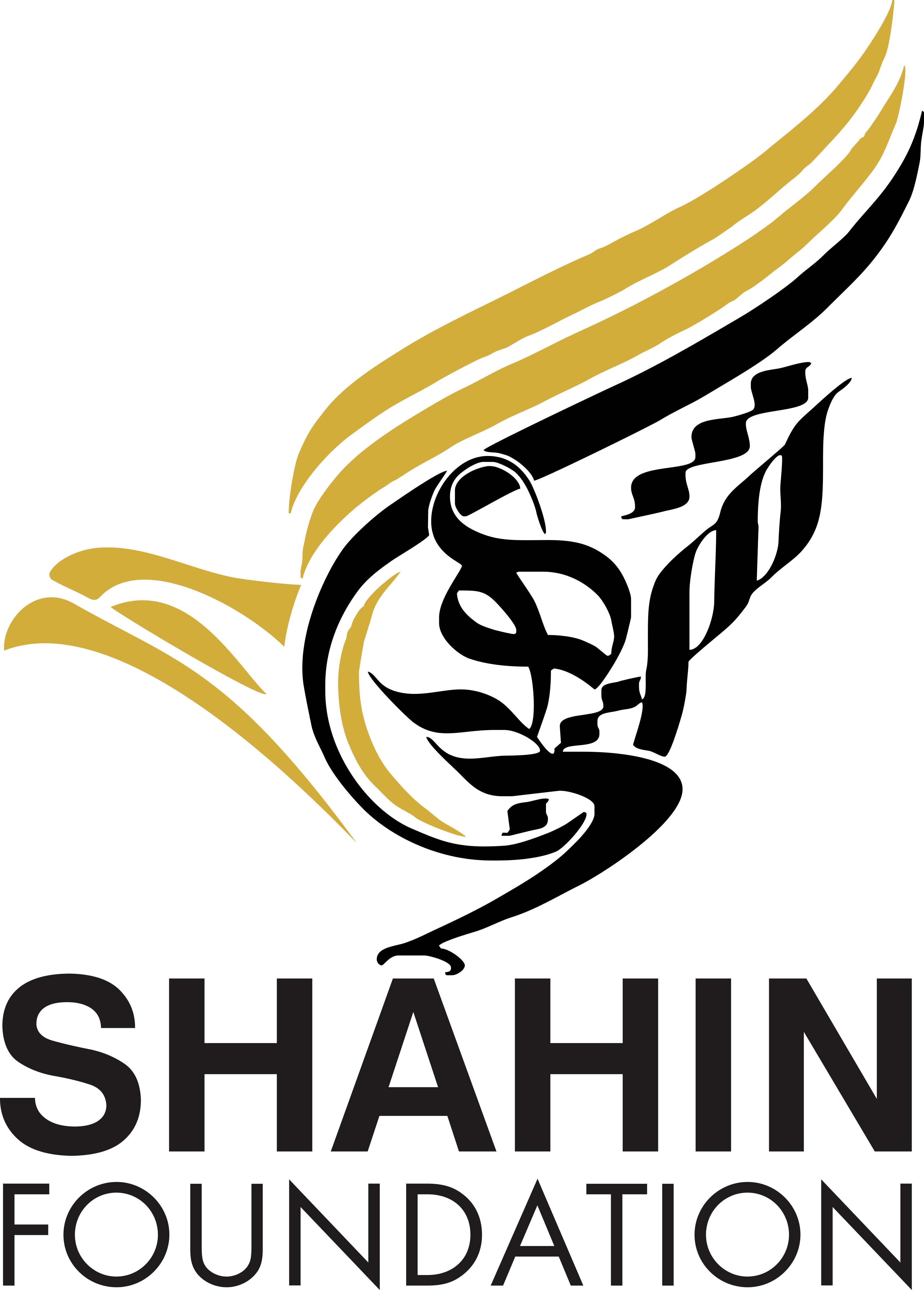 Shahin Foundation Logo